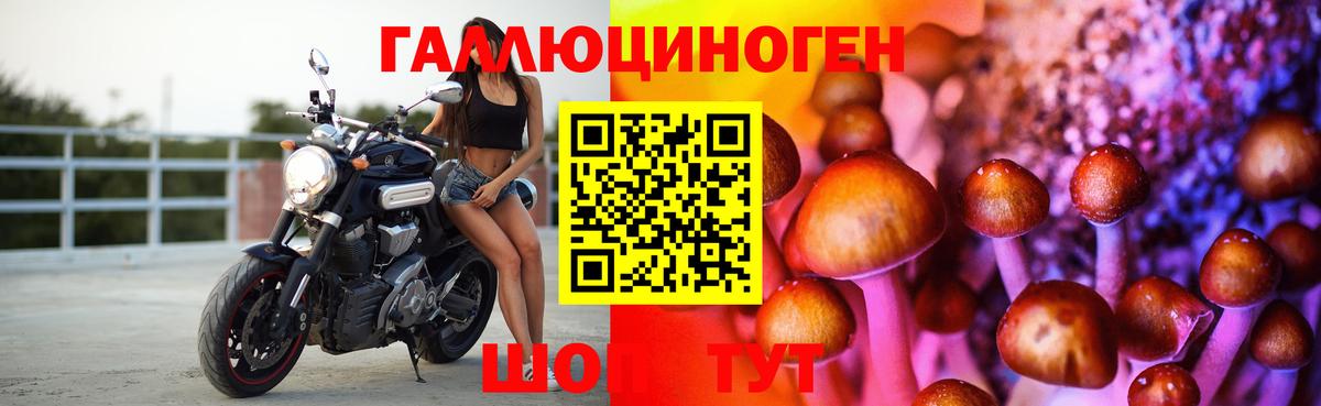 Псилоцибиновые грибы мухоморы Ртищево